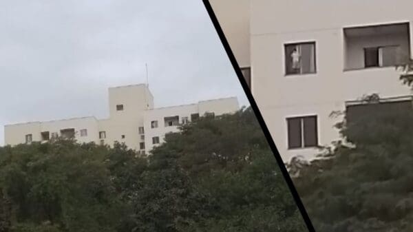Arte com 2 imagens na primeira imagem um prédio de 9 andares visto de longe, em meio a várias arvores, na segunda imagem, uma criança em pé em uma janela de um prédio