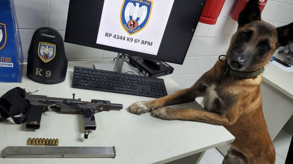 Foto em uma sala da 3ª Delegacia Regional da Serra, sobre uma mesa branca uma metralhadora semi industrial, um pente alongado além de 10 munições, na mesa há também um monitor com a tela de descanso com o logo da PM, e um cachorro farejador especialista em detectar armas e drogas, de pé com as patas dianteiras sobre a mesa