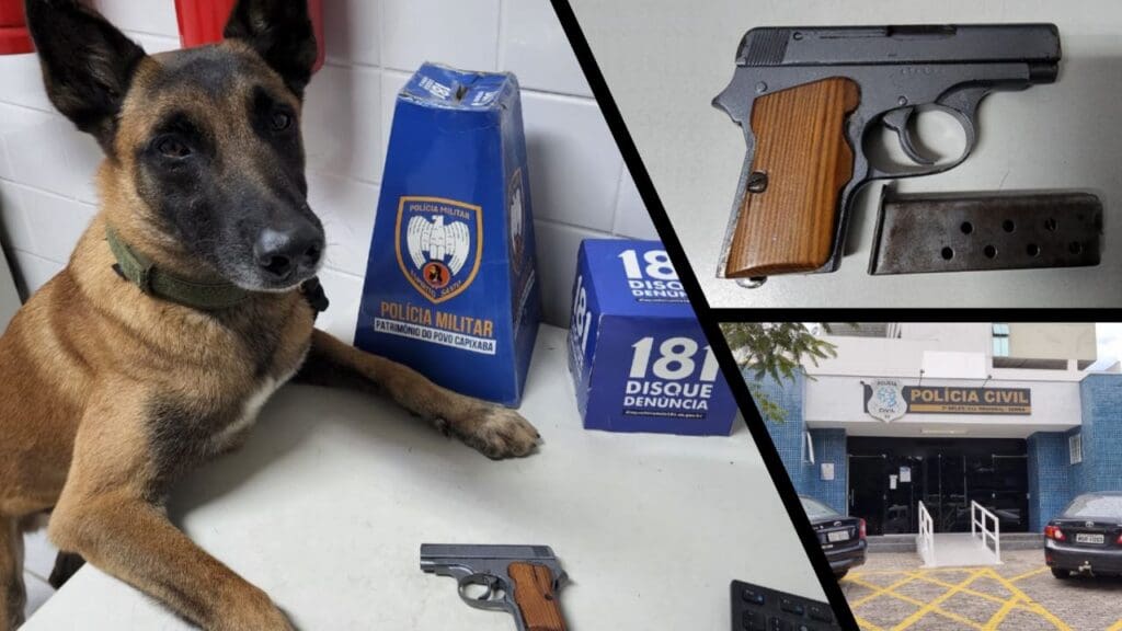 Arte com 3 imagens na primeira um cão farejador da raça pastor alemão com as patas sobre a mesa e proximo a sua pata alguns itens como uma pistola calibre 6.35, e um carregador também sobre a mesa branca