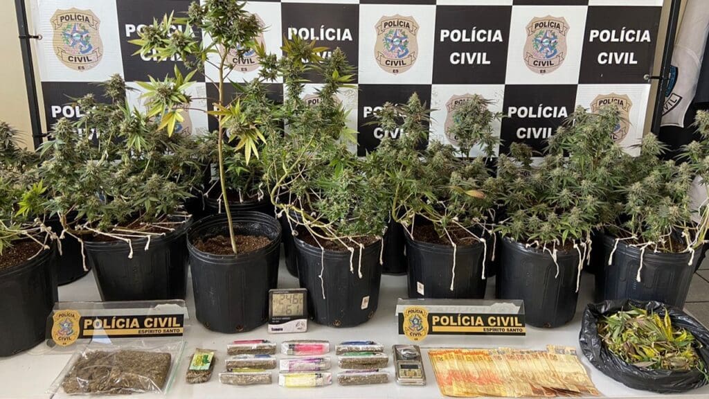 Sobre uma mesa branca um tablete de haxixe paquistanês lemon, avaliado em R$ 7 mil; 245 gramas de maconha; nove kits para venda a varejo, contendo maconha, isqueiro e seda; 475 gramas de folhas de maconha em processo de secagem para prensagem; e R$ 1 mil em dinheiro