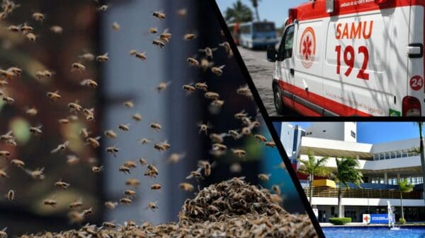 Arte com três imagens, na primeira imagem um enxame de abelha, na segunda imagem uma ambulância do SAMU, e na terceira imagem o hospital Jayme dos Santos Neve.