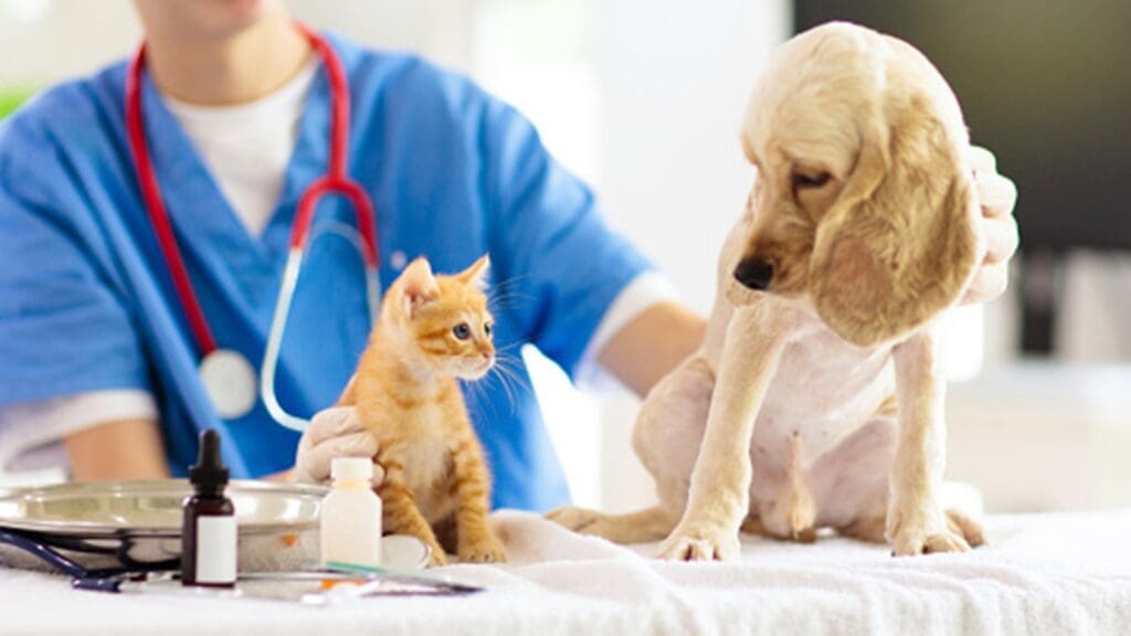 Programa Pet Vida do Governo do ES