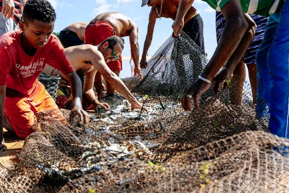 Pescadores retirando os peixes da rede, que acabaram de ser retirados do mar na praia de Manguinhos, durante o arrasto.