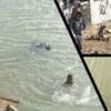 Vídeo: Corpo é resgatado após ser encontrado boiando dentro de rio em Nova Almeida