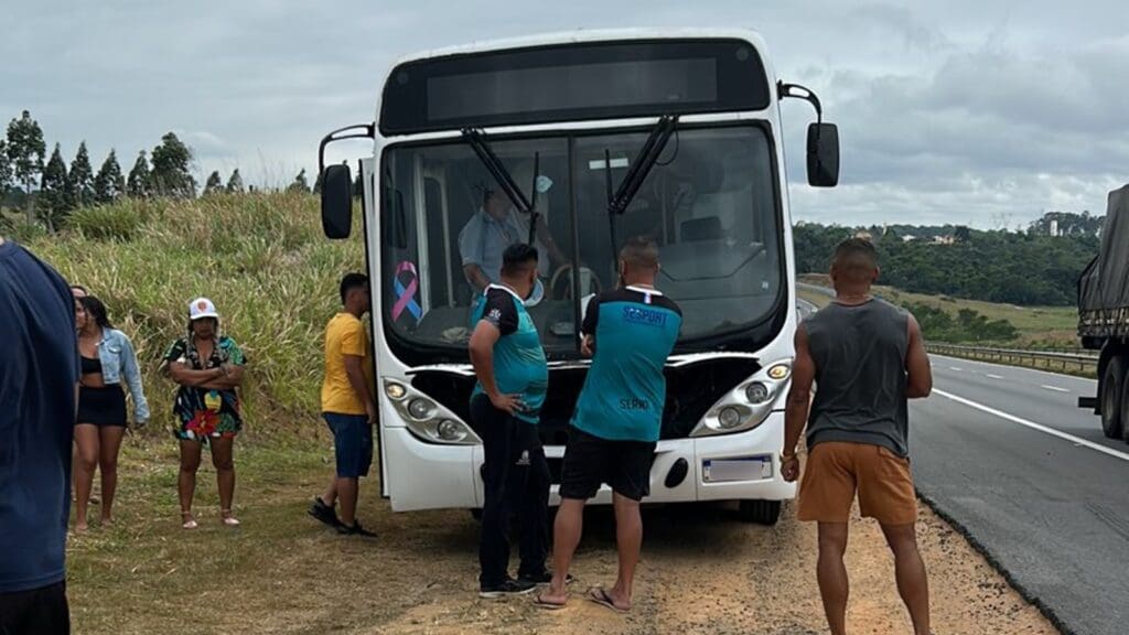 ônibus parado na beira da estrada