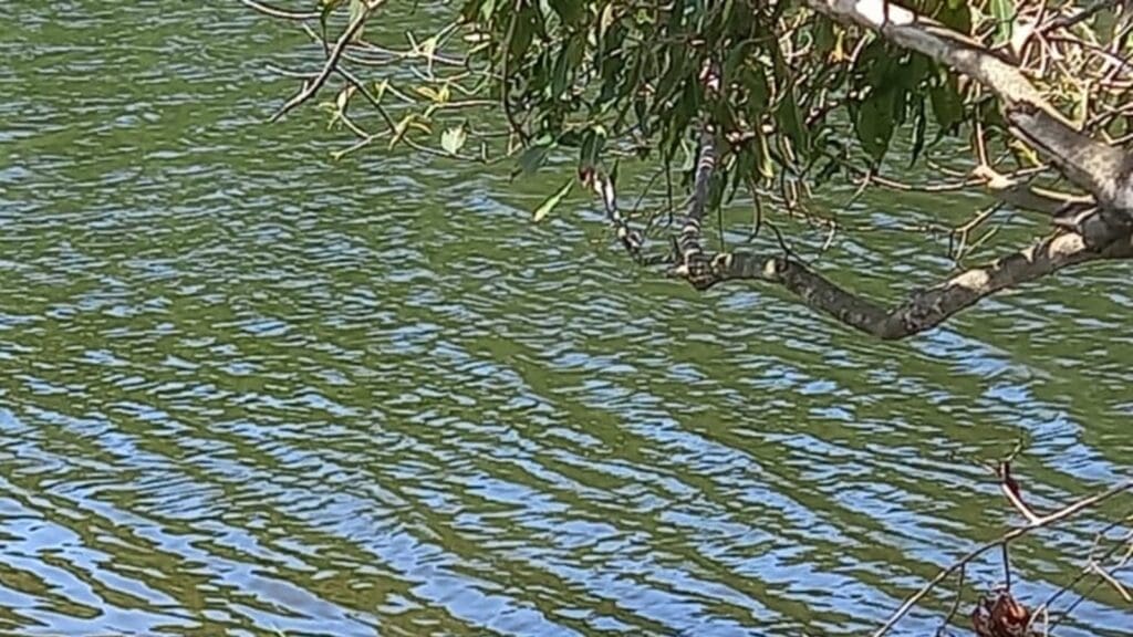 Corpo com rosto desfigurado é encontrado boiando em lagoa na Serra