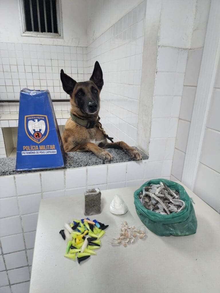 Cão Apollo pousando ao lado das  drogas apreendidas pelas equipes da Polícia Militar durante a ocorrência.