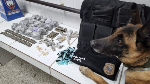 Polícia Militar realiza grande apreensão de drogas com auxílio do cão Apollo.