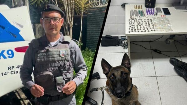 Polícia Militar arrocha biqueira com auxílio do cão farejador Zorg na Serra