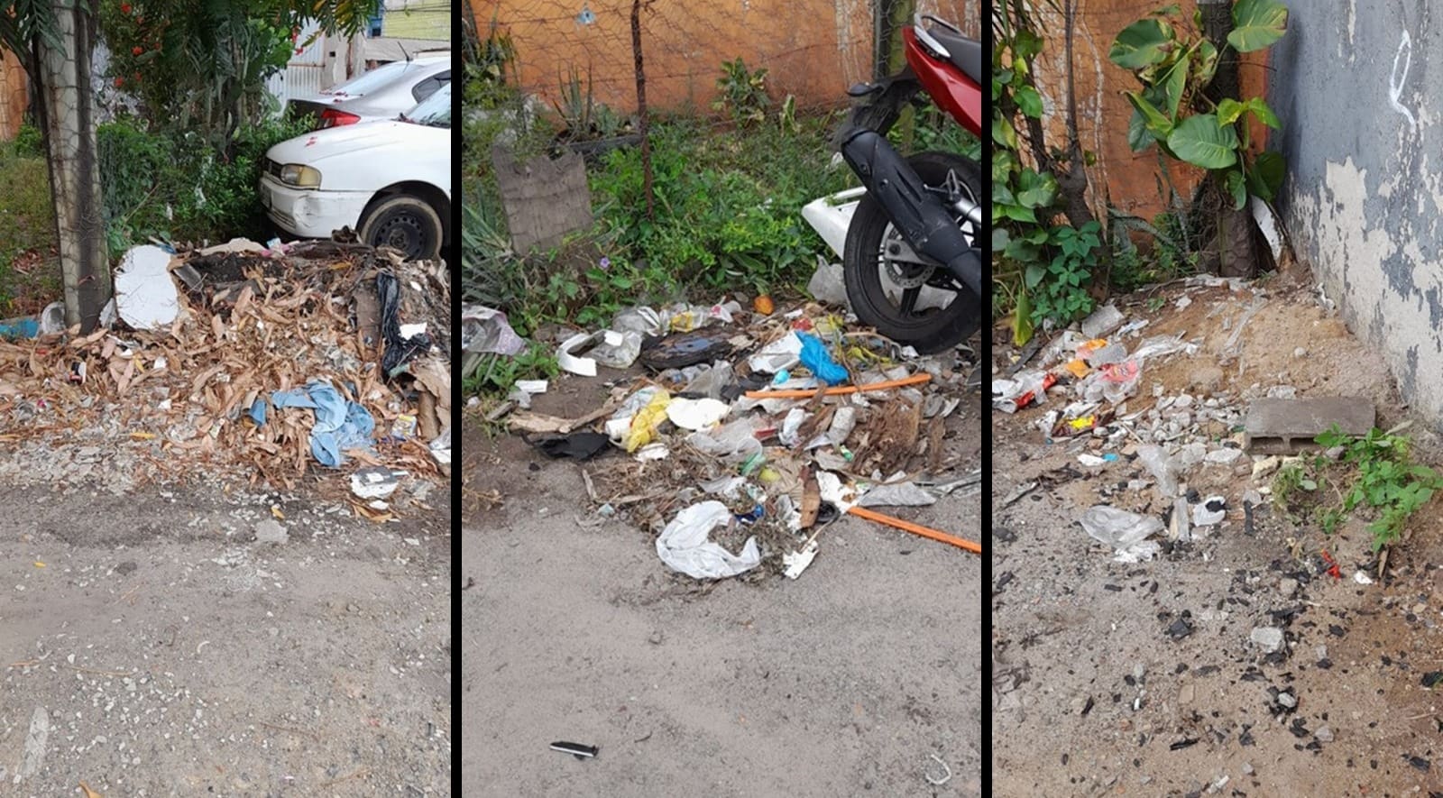 Imagens do lixo acumulado no bairro São Geraldo