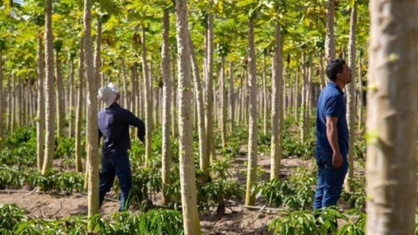 Governo ES anuncia concurso para profissionais de fiscalização agropecuária