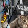 EDP e Polícia Civil encontraram "Gato" de energia em fábrica de Viana.
