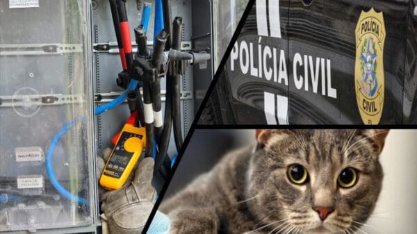 EDP e Polícia Civil encontraram "Gato" de energia em fábrica de Viana.