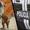 Cachorro é encontrado morto com as patas amarradas em Laranjeiras