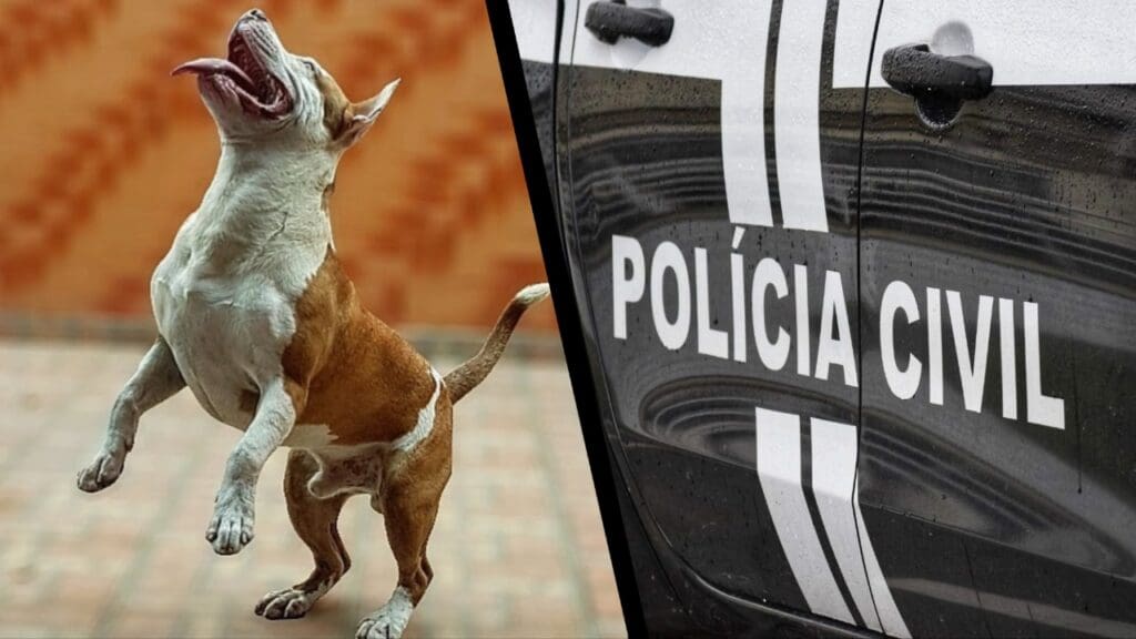 Cachorro é encontrado morto com as patas amarradas em Laranjeiras