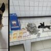 Força Tatica captura adolescentes e apreende grande quantidade de drogas na Serra