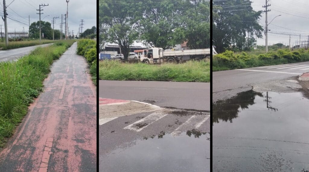 Imagens do mato alto na Av. Civit, na Serra