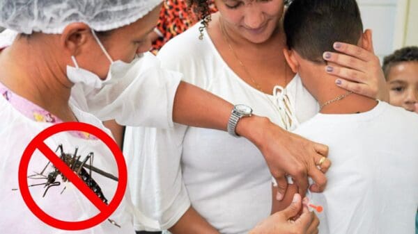 Prefeitura da Serra abre agendamento online para vacinação contra a Dengue na Serra