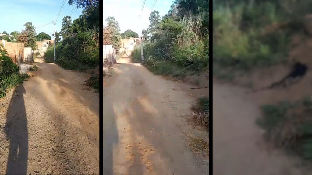 Guerra do Tráfico: Moradora sai para caminhar e encontra corpo de um jovem na Serra