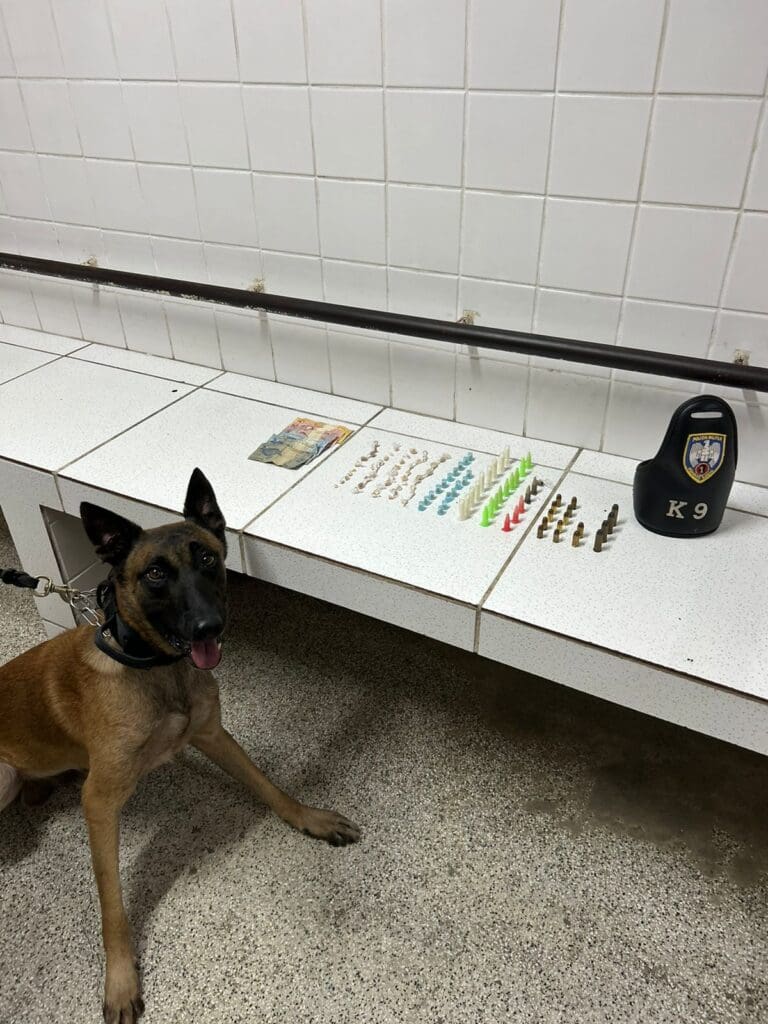 Foto com um cão farejador da Polícia Militar ao lado de alguns materiais apreendidos, sobre uma bancada 66 pedras de crack, 23 pinos de cocaína, uma bucha de maconha e mais de 400 munições de arma de fogo.