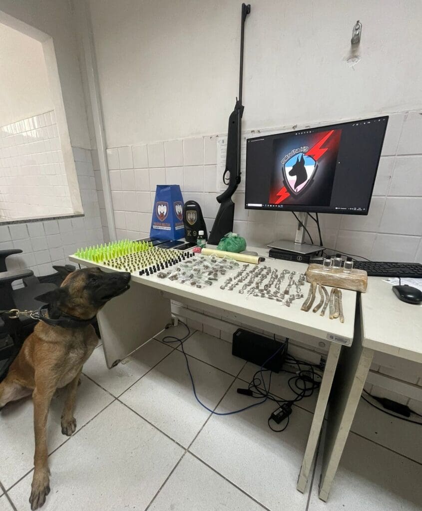 Foto de um cão farejador da Polícia Militar ao lado do material aprendido, sobre uma mesa 110 pinos de cocaína, 114 unidades de haxixe, 22 pedras de crack, 154 buchas de maconha, meio tablete de maconha, 3 frascos de loló, uma espingarda e quatro celulares
