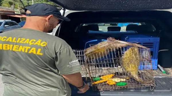 Ouriços são resgatados após invadir quintal de residencia na Serra.