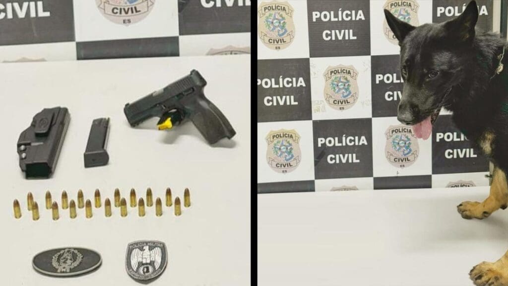 BAC apreende armas e munições durante treinamento com cães na Serra.