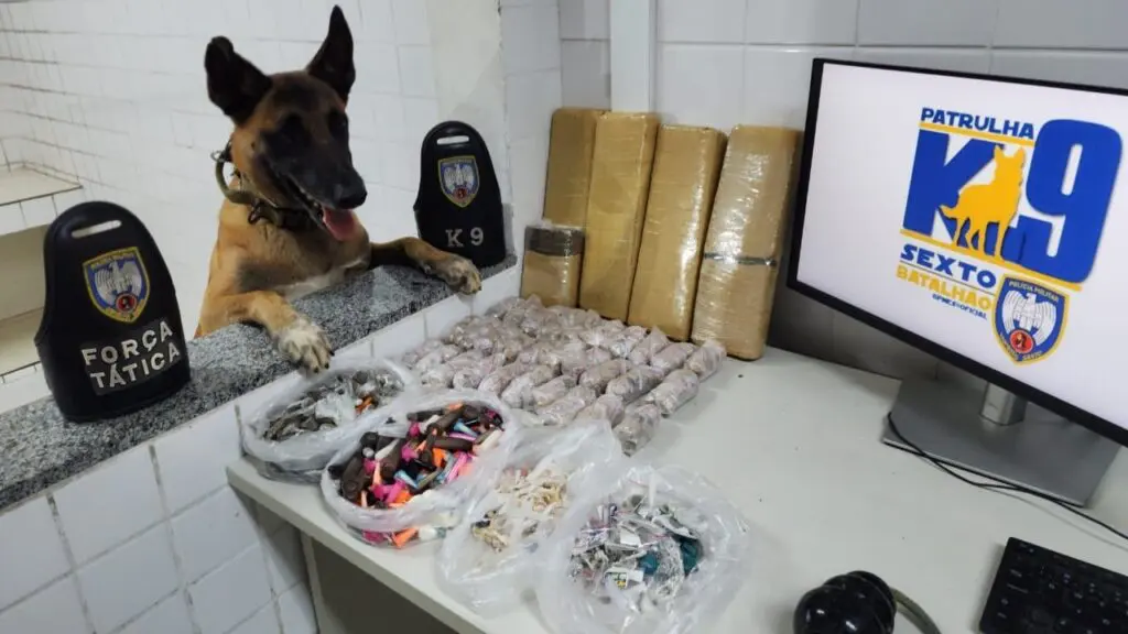 Polícia Militar apreende grande quantidade de drogas na Serra durante operação Narke.
