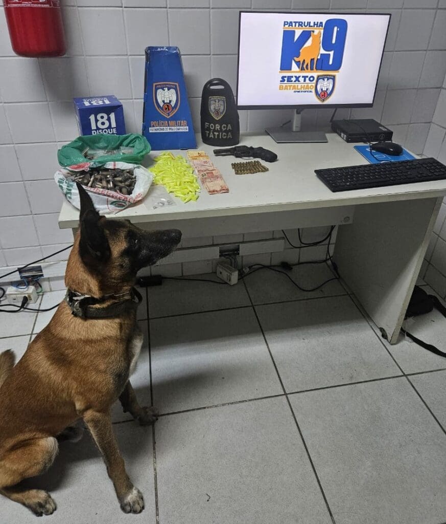 Cão farejador Apollo ao lado de uma mesa com buchas de maconha, pinos de cocaínas, dinheiro e um revólver calibre 38.