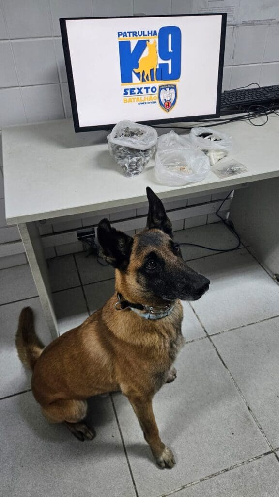 Cão Apollo, ao lado das drogas apreendidas pela Força Tática.