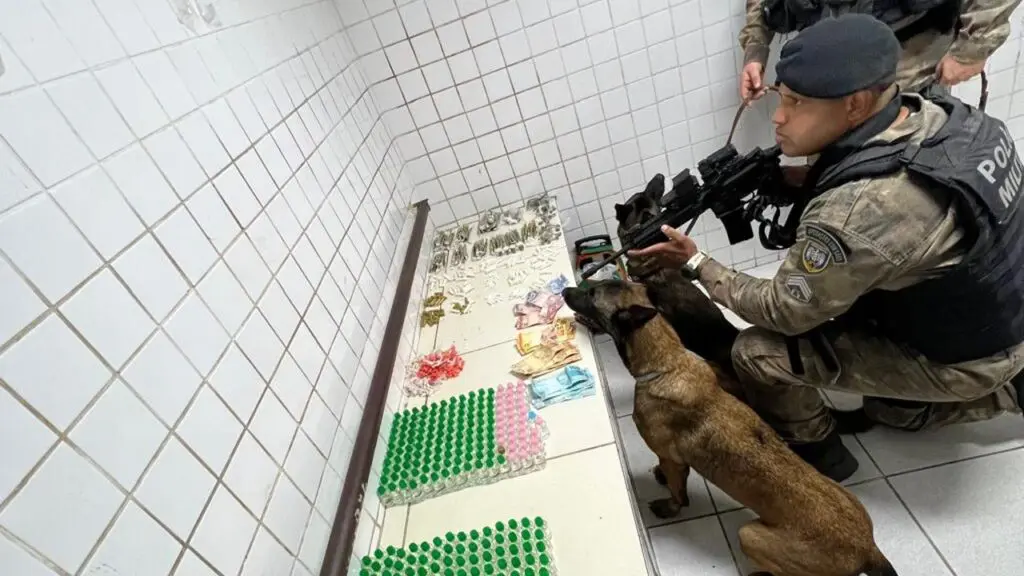 Batalhão de Ações com Cães realiza grande apreensão de drogas durante operação na Serra.