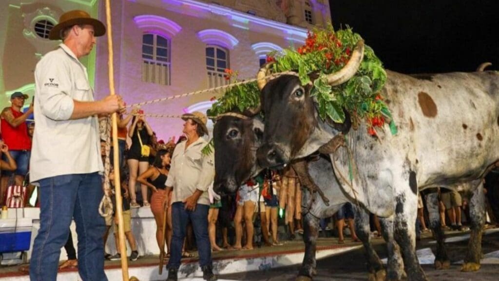 Show especial do cantor Mumuzinho na Serra promete agitar a Festa de São Benedito