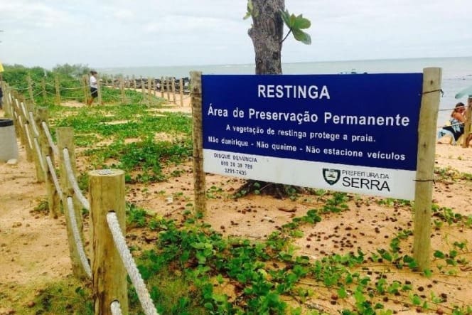 Área vegetação de restinga proximo a uma praia, com uma placa avisando que o local é uma area de preservação permanente. 