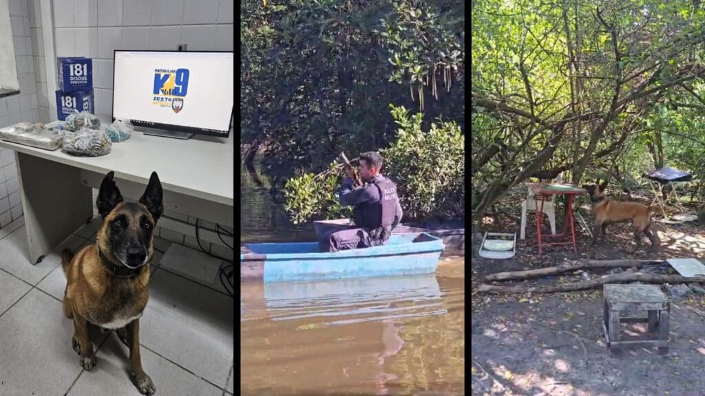 Polícia Militar apreende grande quantidade de drogas em manguezal na Serra.