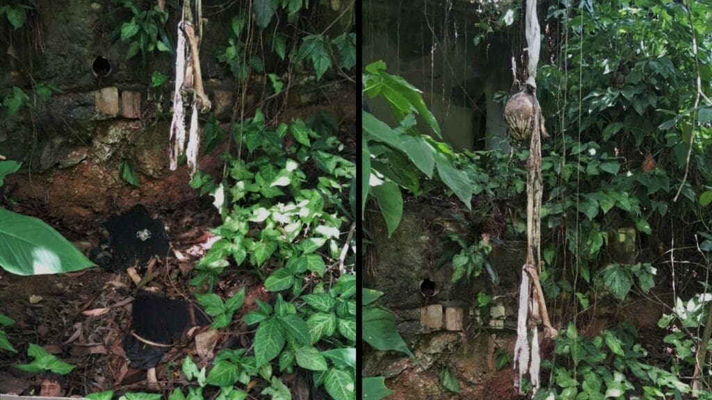 Ossada com características humanas é encontrada pendurada em árvore na Serra