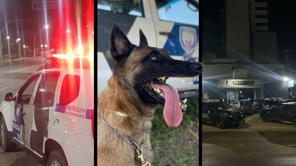 Polícia Militar realiza grandes apreensões de drogas em diferentes bairros da Serra Polícia Militar faz grandes apreensões de drogas na Serra