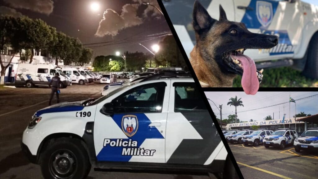 Gerente do tráfico é detido com quase mil buchas de haxixe e cocaína na Serra Gerente do tráfico é preso com 983 porções de haxixe na Serra