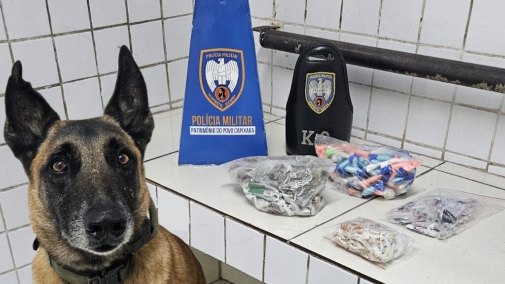 Polícia Militar arrocha traficantes e apreende grande quantidade de drogas em bairros da Serra PM apreende grande quantidade de drogas em bairros da Serra