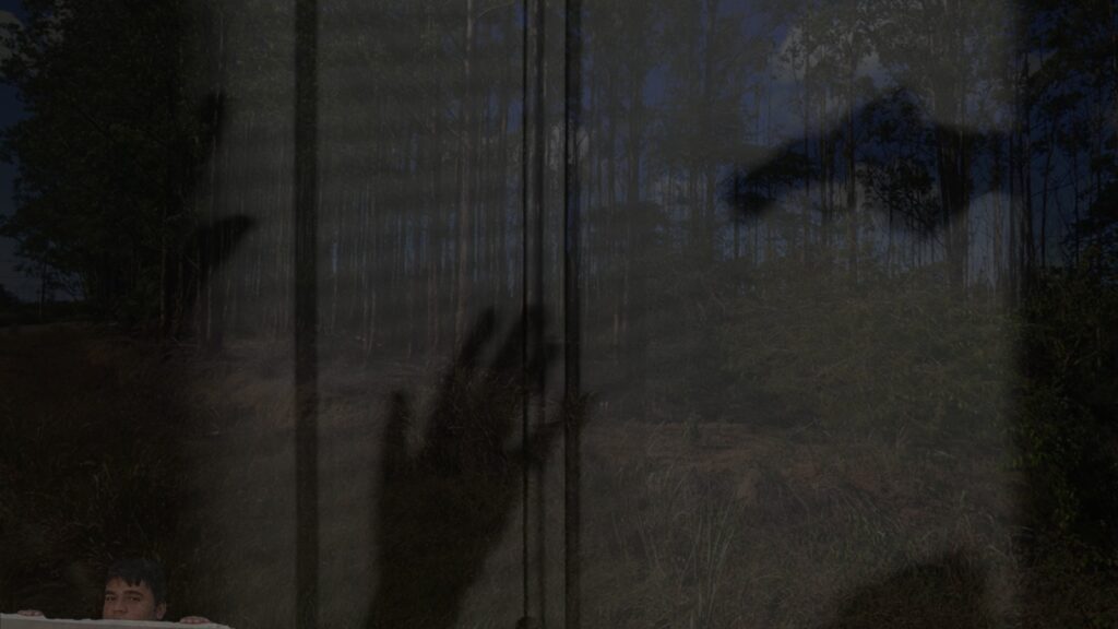 Homem é baleado e deixado para morrer dentro de carro incendiado na Serra Área de plantação onde vítima foi encontrada às margens da Rodovia Audifax Barcelos, na Serra