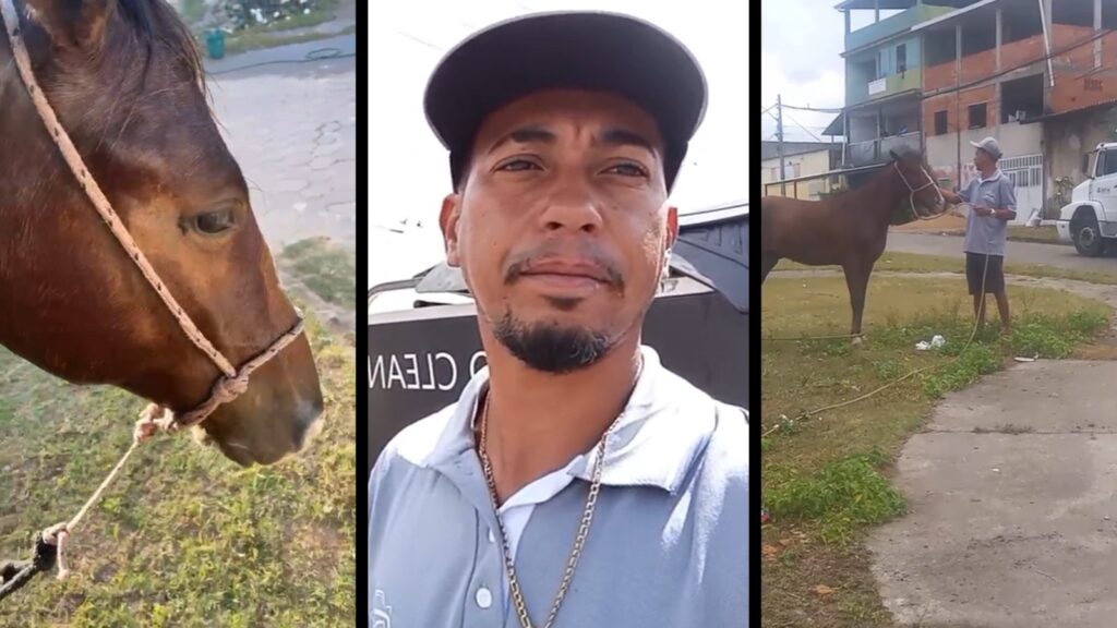 Morador nega ter causado morte do cavalo e contesta versão da Prefeitura da Serra Exclusivo: homem desmente Prefeitura da Serra e nega ter causado morte do cavalo em José de Anchieta