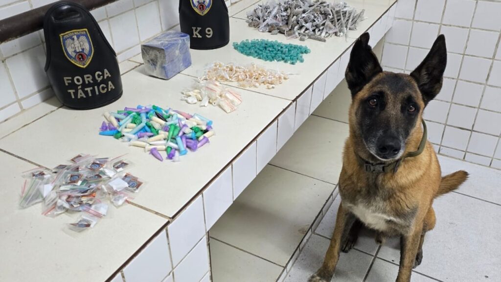 PM apreende drogas em casas usadas por traficantes na Serra Polícia Militar encontra grande quantidade de drogas em casa usada como base por traficantes na Serra