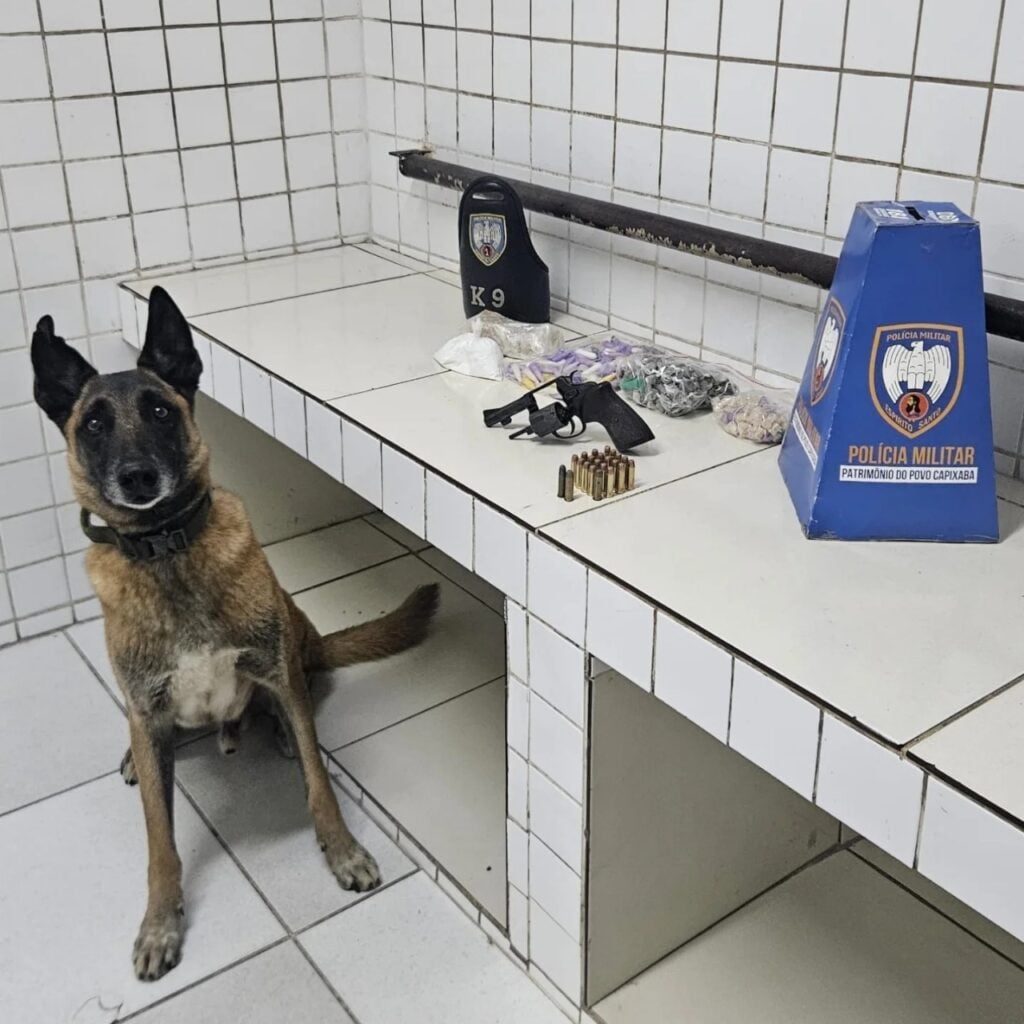 Uma sala de uma delegacia onde um cachorro farejador da raça pastor alemão, ao lado de materiais apreendidos que estão sobre uma bancada um revólver calibre .38 acompanhado de 22 munições do mesmo calibre. Também foram apreendidas 102 porções de maconha, 7 unidades de haxixe, 114 pedras de crack, 142 pinos de cocaína e uma porção da mesma substância pesando 155 gramas.