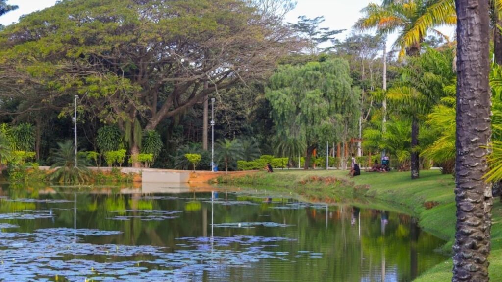 Jardim Botânico da Serra é revitalizado e será inaugurado com corrida noturna Jardim Botânico da Serra será reaberto com evento especial neste sábado