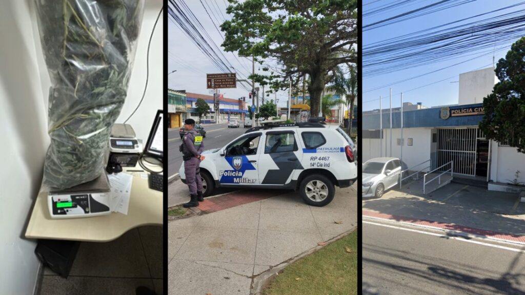 Polícia Militar encontra plantação de maconha em casa usada pelo tráfico em Jacaraípe