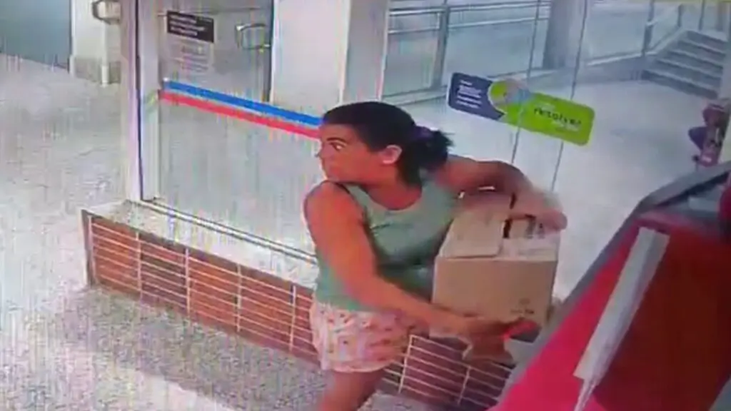 Polícia Civil busca identificar mulher que abandonou filhotes de cachorro em supermercado de Cariacica