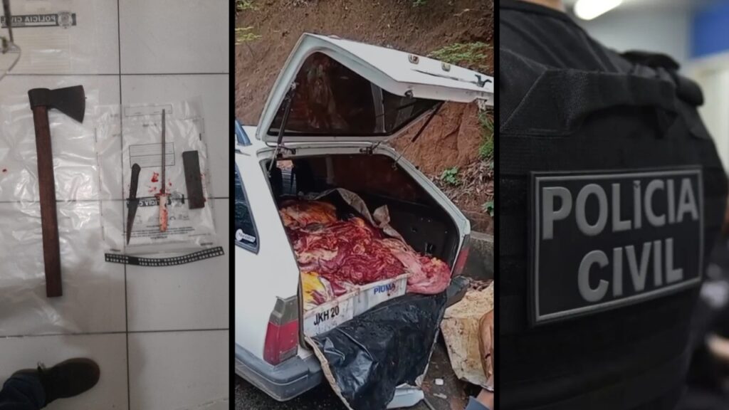 Polícia Civil apreende 390 kg de carne de cavalo que seria vendida para comércios da Serra
