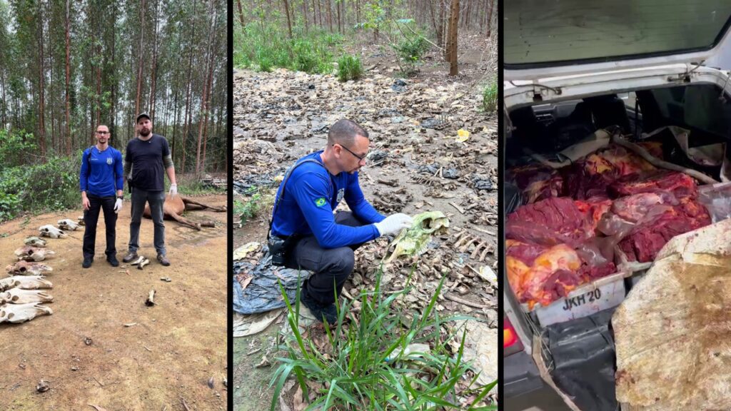 Polícia Civil revela esquema de quadrilha que vendia carne de cavalo na Grande Vitória
