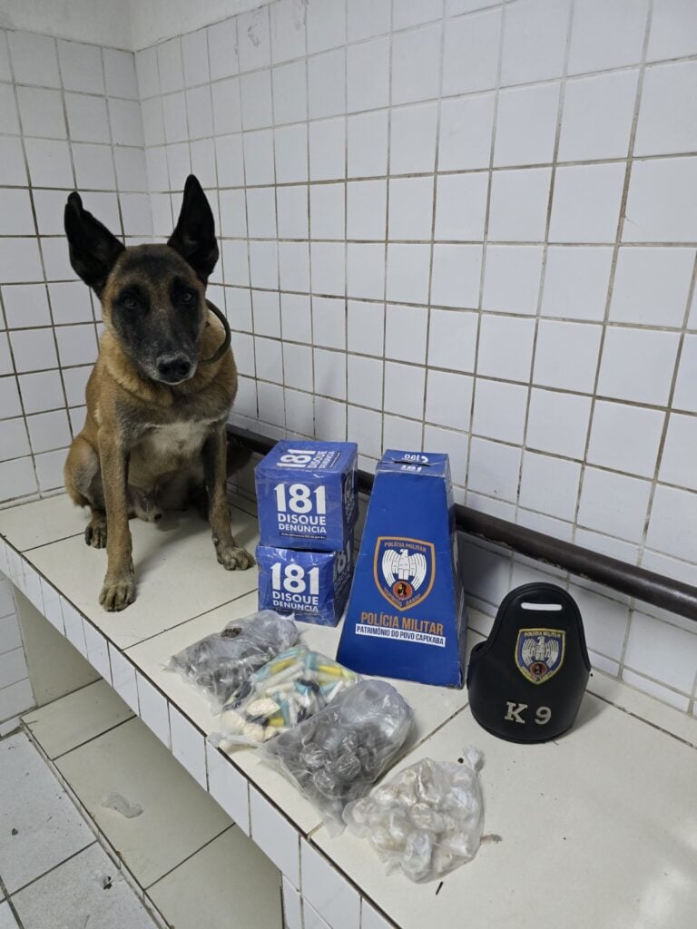 Um cão farejador da raça pastor alemão em uma sala ao lado de drogas apreendidas pela Polícia Militar.
