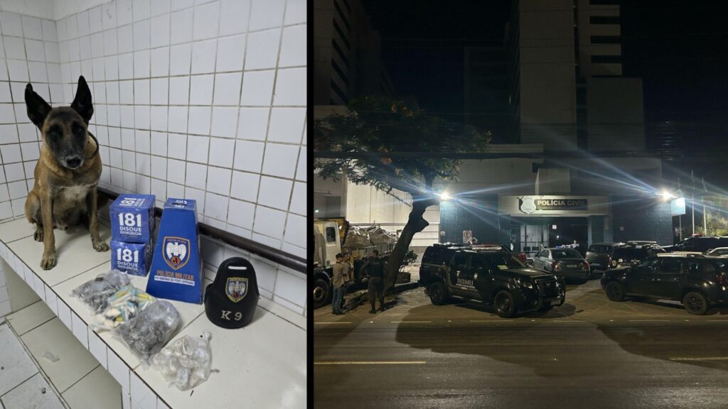 Equipe K9 apreende grande quantidade de drogas na Serra