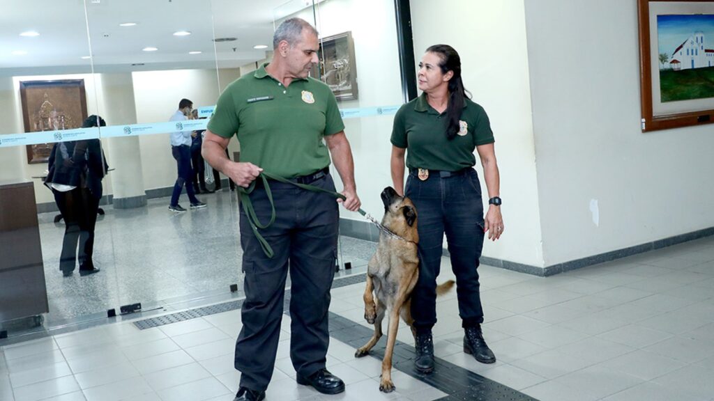 Concurso da ALES: confira os cargos e salários disponíveis Concurso da Ales: veja os cargos e remunerações em disputa Seleção visa preencher 35 vagas em três cargos, com salário-base inicial que varia de R$ 3,1 mil a R$ 9,3 mil, além de vários benefícios Por Natan de Oliveira, com supervisão e edição de Angèle Murad 01/10/2025 - 08h59 um homem, uma mulher com uniforme da polícia legislativa e um cão em pé em frente ao plenário Os agentes de Polícia Legislativa também podem fazer jus à gratificação no valor de R$ 3,5 mil / Foto: Paula Ferreira A Assembleia Legislativa (Ales) abriu concurso público para o preenchimento de 35 vagas imediatas e formação de cadastro de reserva. As oportunidades estão distribuídas entre os cargos de Consultor Legislativo, Analista Legislativo e Agente de Polícia Legislativa, com salário-base inicial que varia de R$ 3,1 mil a R$ 9,3 mil. Além do salário-base, os novos servidores terão direito a benefícios como auxílio-alimentação de R$ 1.949,45, auxílio-saúde de varia de R$ 312,12 a R$ 1.864,95 (conforme a faixa etária), auxílio-creche de R$ 500 por filho de até seis anos. Também são assegurados adicionais por tempo de serviço e assiduidade e ascensão na carreira. Para Consultor Legislativo, são oferecidas 15 vagas em áreas como finanças públicas, saúde, educação, meio ambiente e segurança pública. Com carga horária semanal de 30 horas, o cargo exige ensino superior completo e oferece salário inicial de R$ 9,3 mil, que pode chegar a R$ 14,9 mil no topo da carreira. Já o cargo de Analista Legislativo contará com cinco vagas, destinadas a profissionais com ensino superior em áreas específicas. Serão duas vagas para atuar no setor de folha de pagamento, duas na Diretoria de Finanças e uma na Coordenação de Recursos Humanos da Casa. A remuneração inicial é de R$ 4,6 mil, também com jornada de 30 horas semanais.